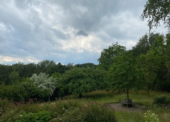 Gruene Oase Unweit Von Koeln