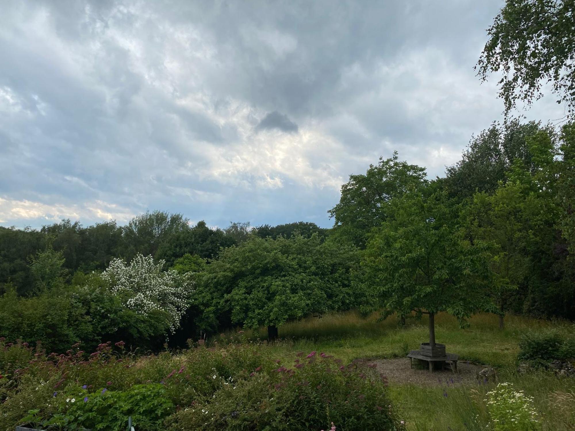 Gruene Oase Unweit Von Koeln Rosrath